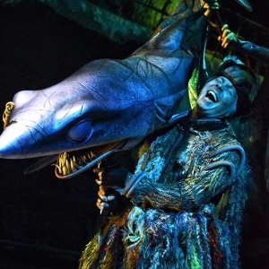 Fundraising Page: Kyle Fowler